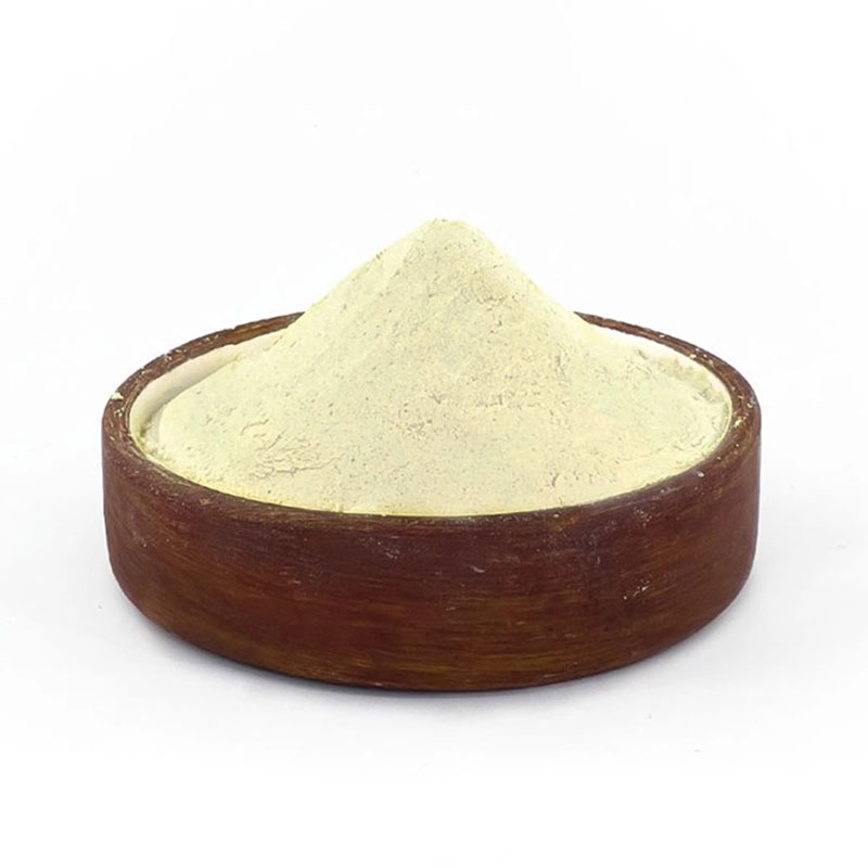پودر سیر