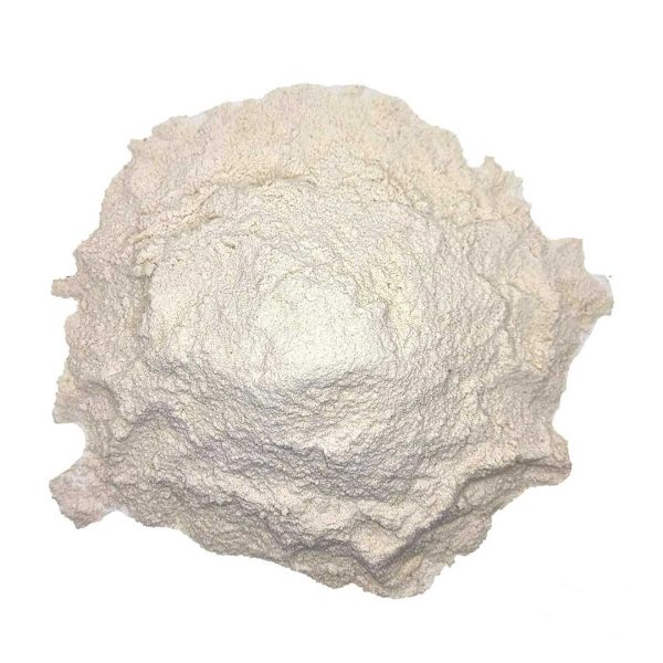 پودر سیر - 1 کیلوگرم - Image 3